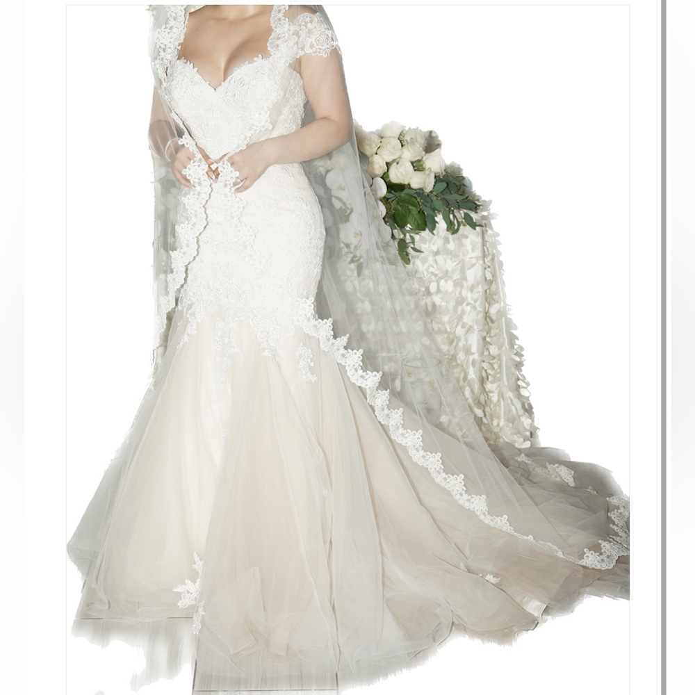Wedding dress (Ivory) veil included